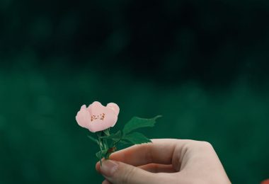 linguaggio che cura linguaggio che ferisce