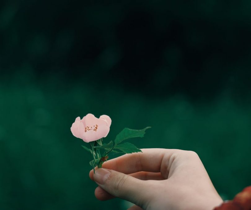 linguaggio che cura linguaggio che ferisce